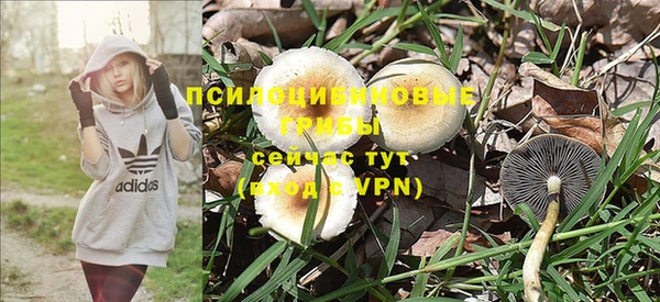 винт Армянск